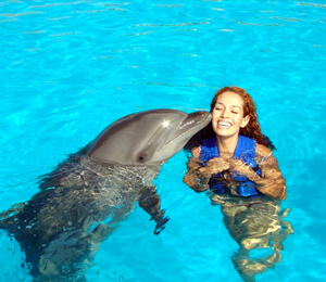 Puerto Vallarta Dolphins