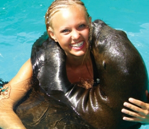 Sea Lion Programs